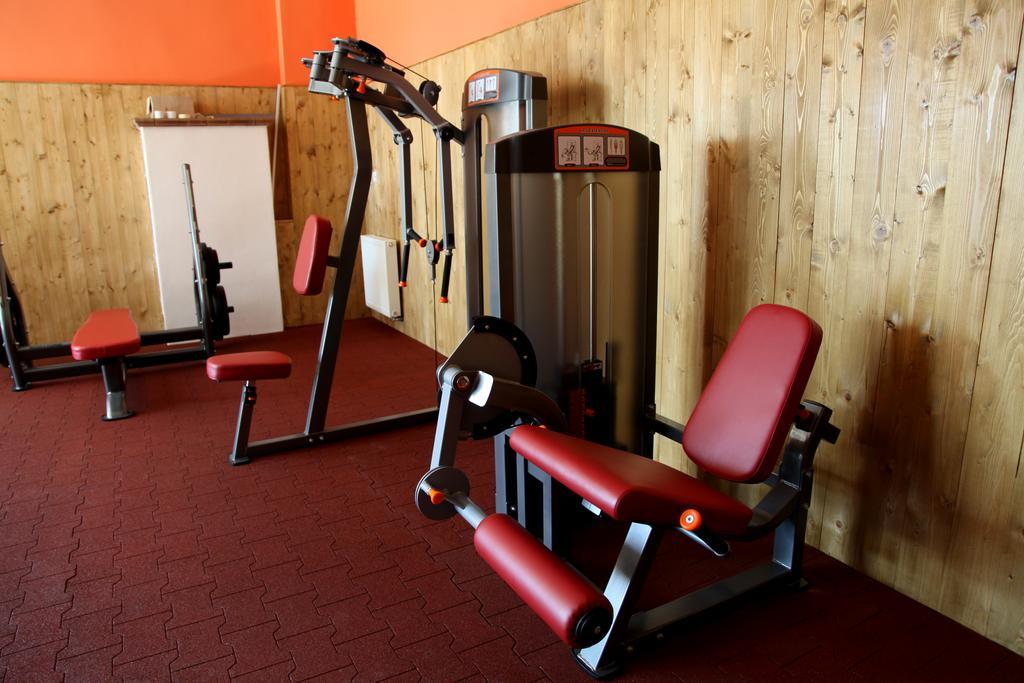 Mlyn Penzion & Wellness Radvan nad Dunajom Ngoại thất bức ảnh