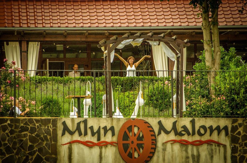 Mlyn Penzion & Wellness Radvan nad Dunajom Ngoại thất bức ảnh